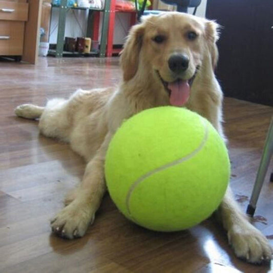 Big Signature Tennis Ball 24cm Inflatable Tennis Activity Gift Pet Toy 9.5 Inch Pet Ball Chewing Toy