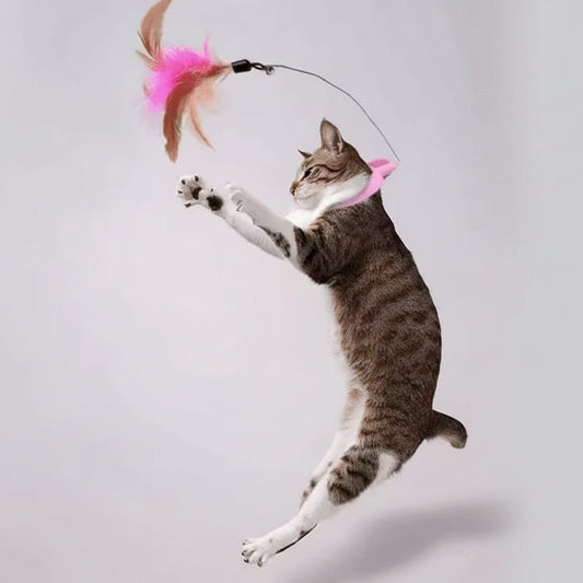 Cat Toy Cat Toy Hanging Neck Cat Toy Cat Toy Self-Hi Cat Toy Cat Toy Cat Toy With Feather And Bell Interactive Cat Collar