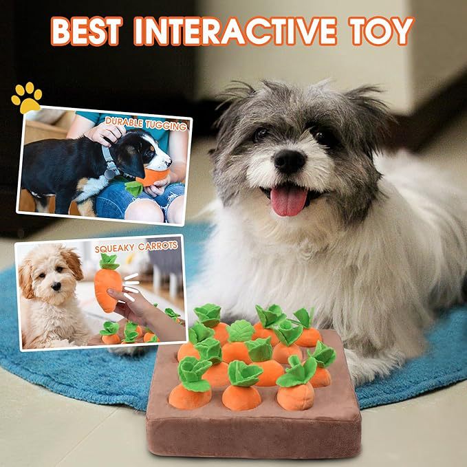 Carrot Pull Interactive Pet Toys