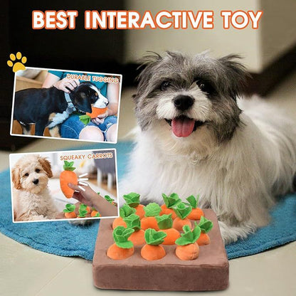 Carrot Pull Interactive Pet Toys