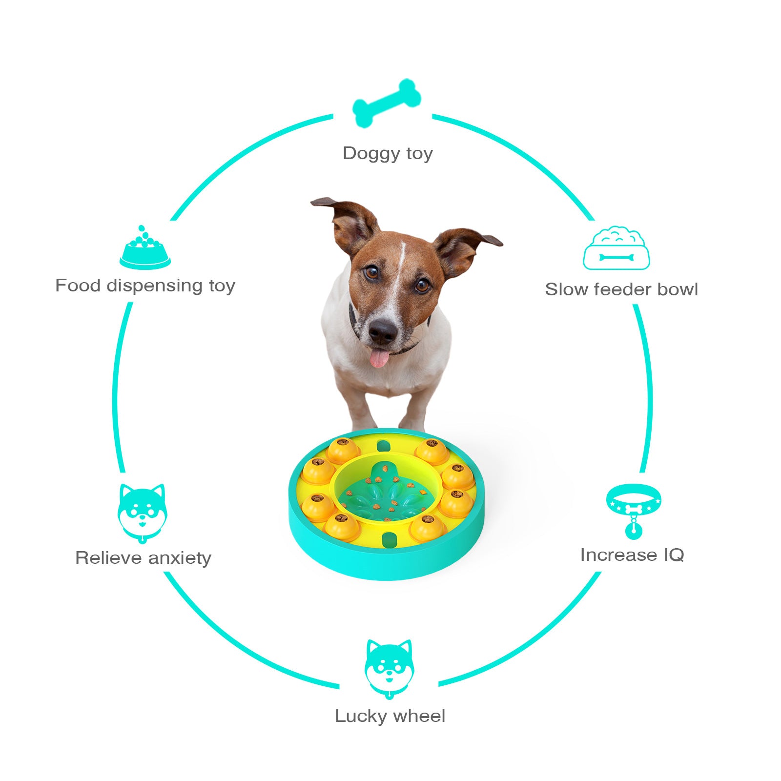 Pet Slow Feeder