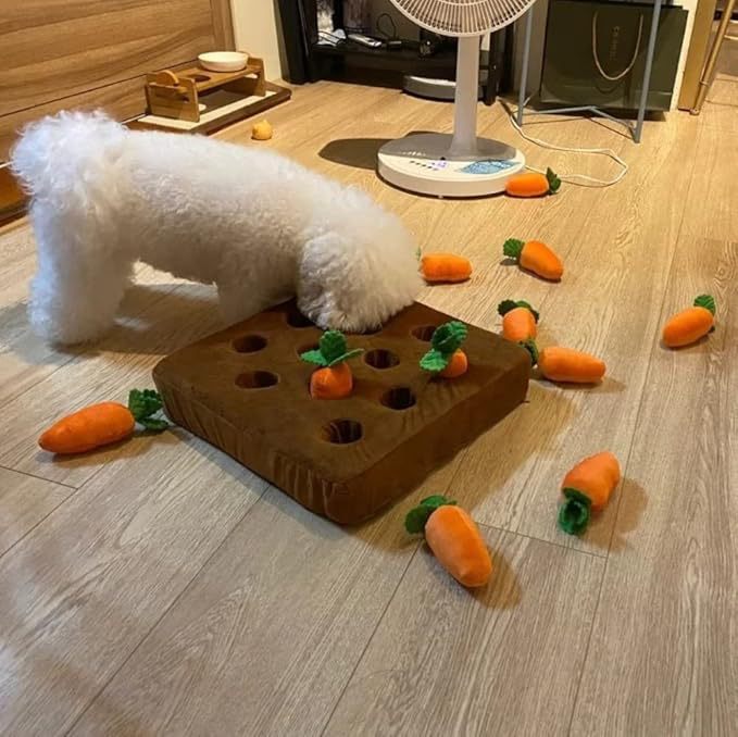 Carrot Pull Interactive Pet Toys
